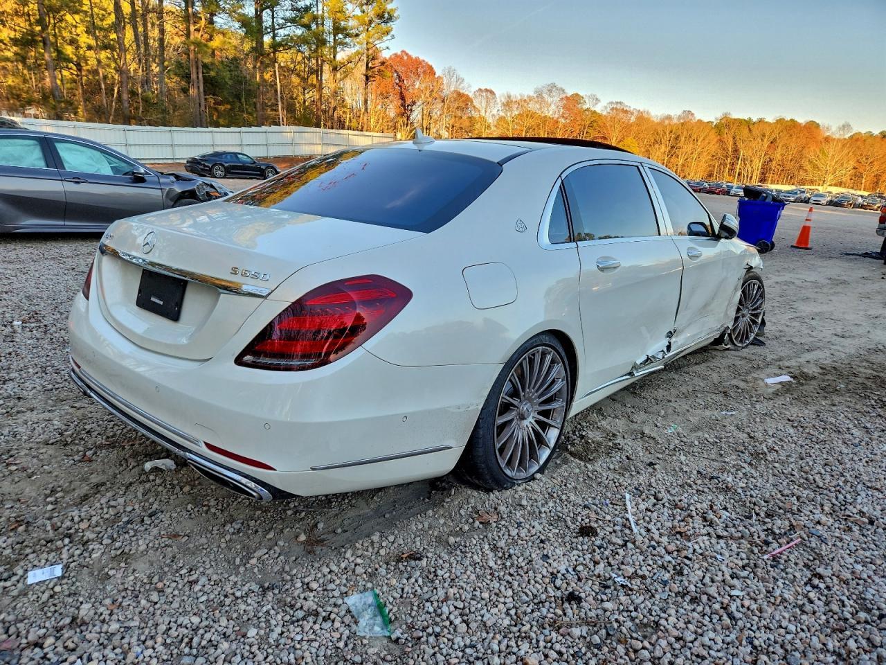 2019 Mercedes-Benz S Mercedes-Maybach S650 - Фото 3