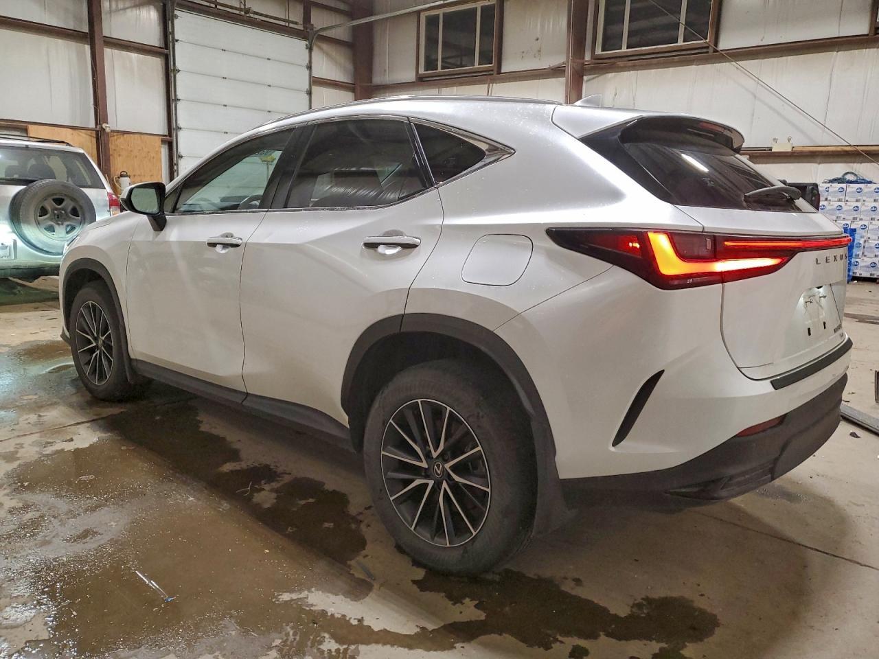 2024 Lexus Nx 450H+ - Фото 2