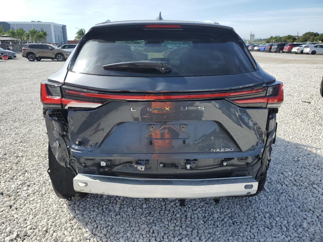 2024 Lexus Nx 250 Base - Фото 6