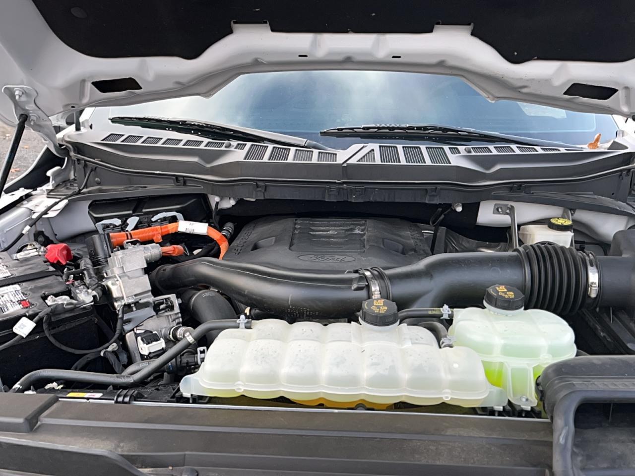 2023 Ford F150 Supercrew - Фото 7