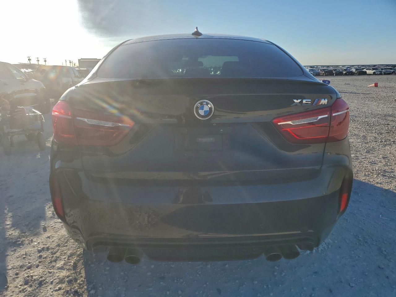 2015 BMW X6 M - Фото 6