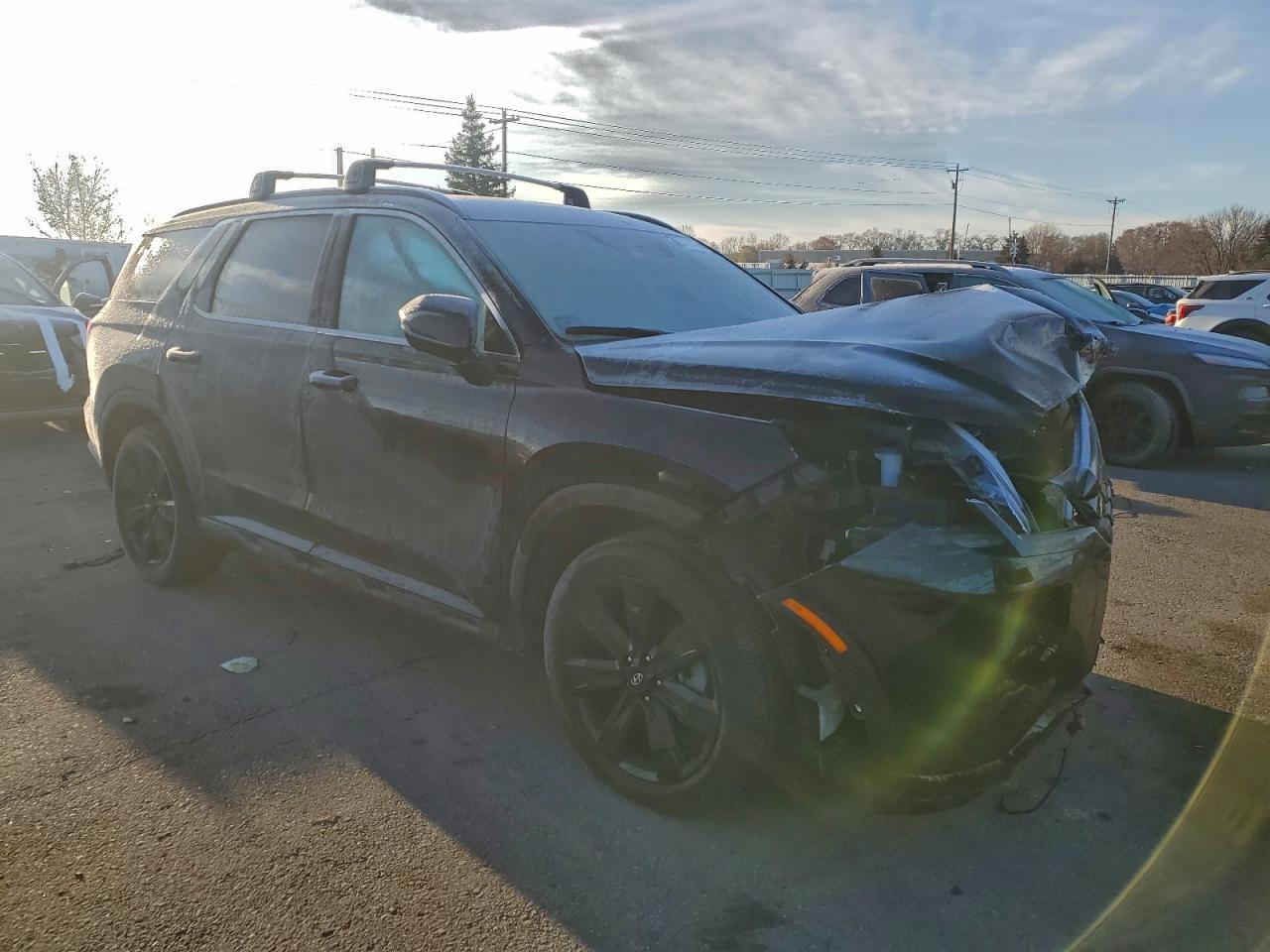 2025 Hyundai Palisade Xrt - Image 4