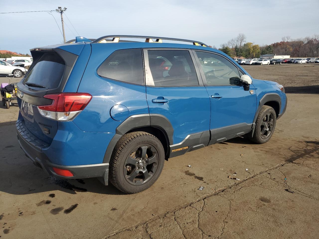 2023 Subaru Forester Wilderness - Фото 3