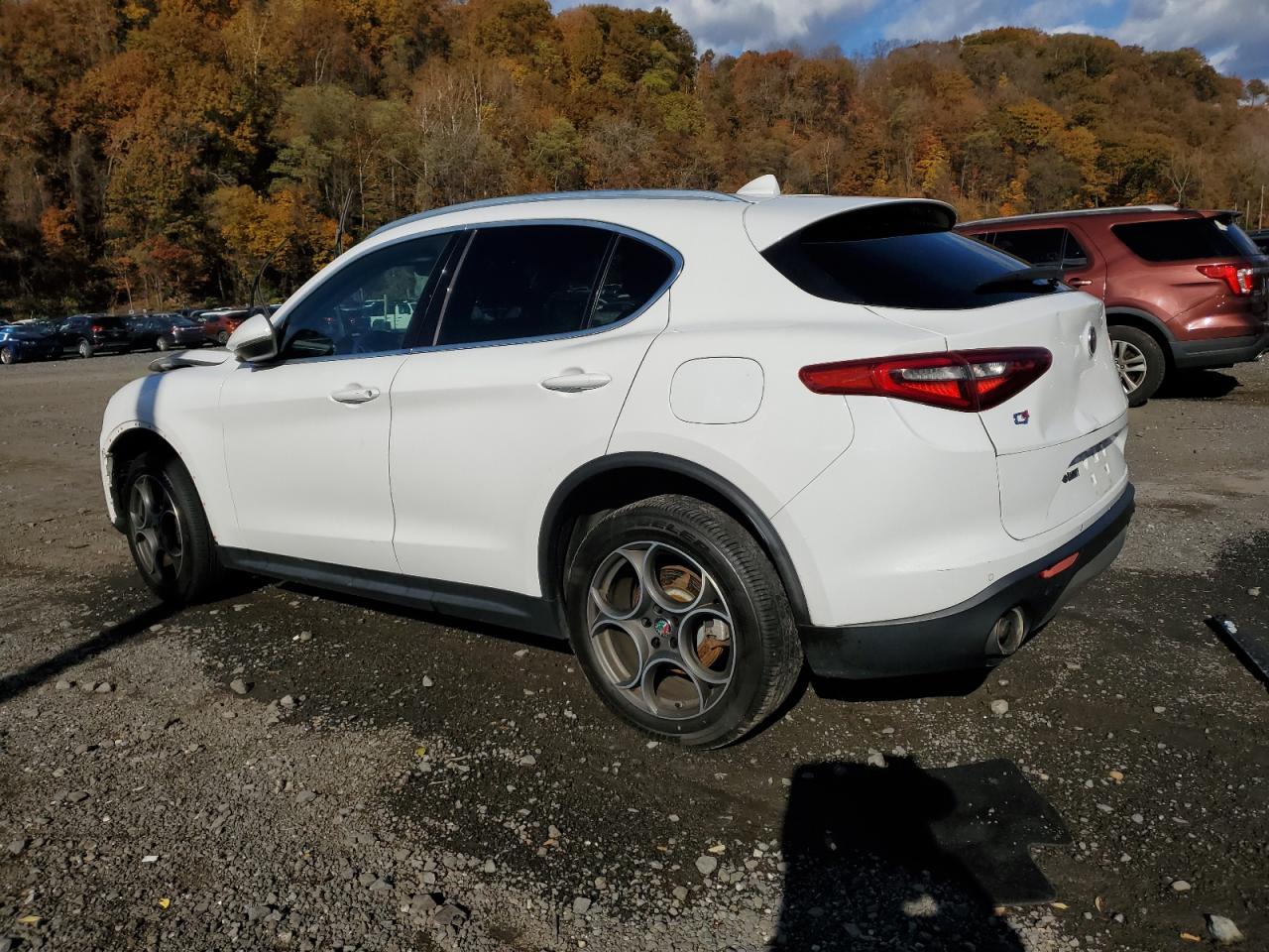 2018 Alfa Romeo Stelvio - Фото 2