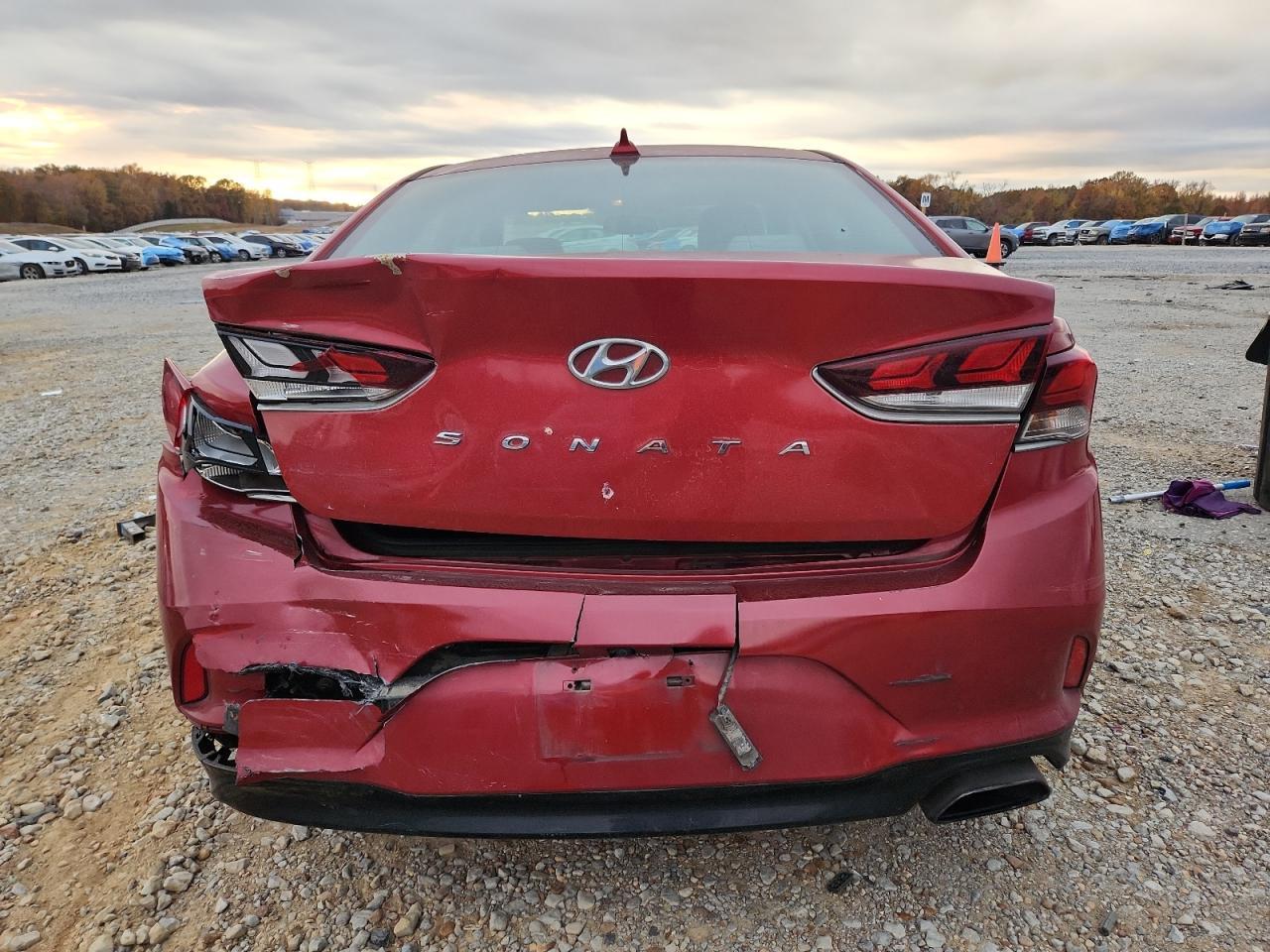 2019 Hyundai Sonata Limited - Фото 6