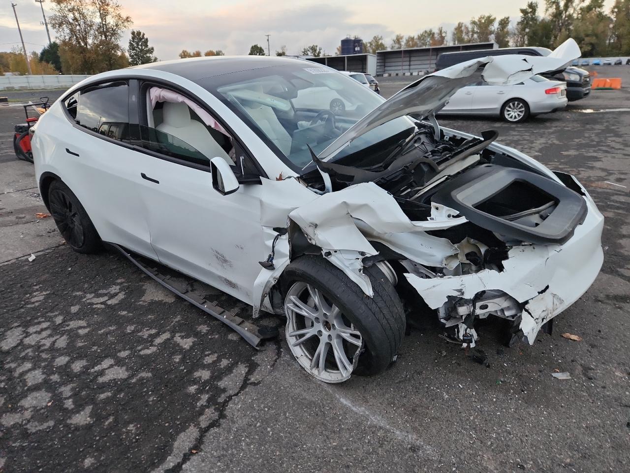 2023 Tesla Model Y - Фото 4