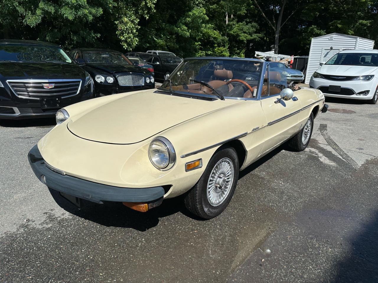 1982 Alfa Romeo Veloce 2000 Spider - Фото 2