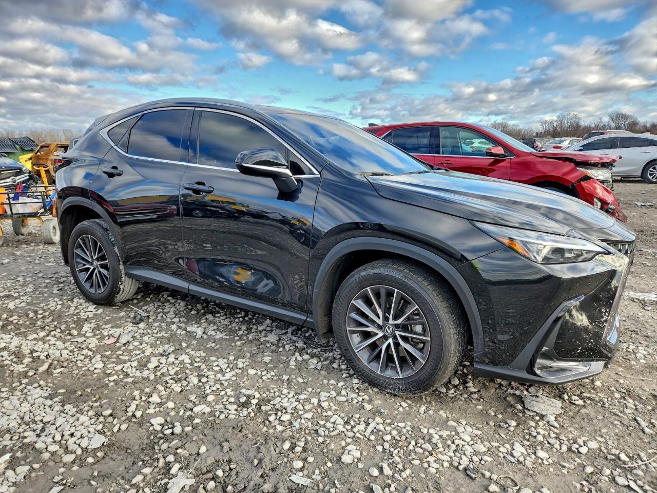 2024 Lexus Nx 350 Premium - Фото 4