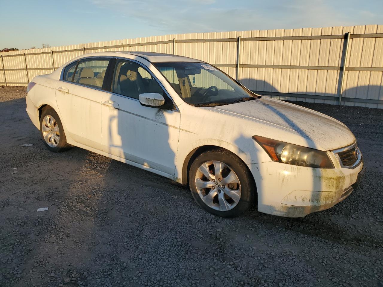 2008 Honda Accord Exl - Image 4