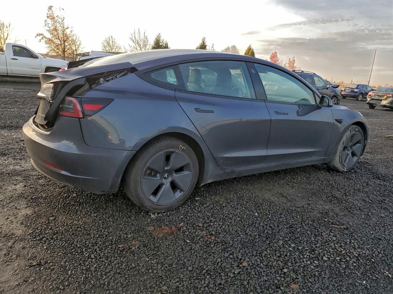 2022 Tesla Model 3 - Фото 3