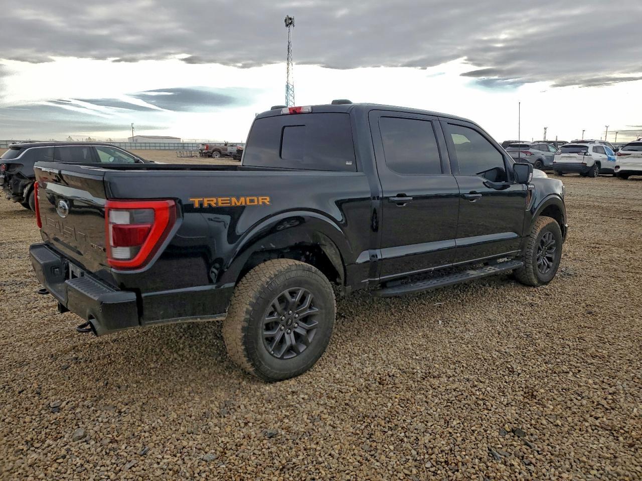 2022 Ford F150 Supercrew - Фото 3