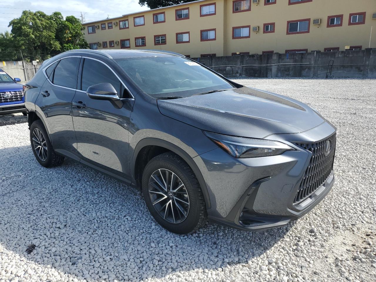 2024 Lexus Nx 250 Base - Фото 4