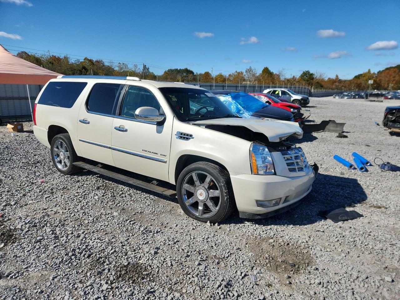 2010 Cadillac Escalade Esv Premium - Фото 4