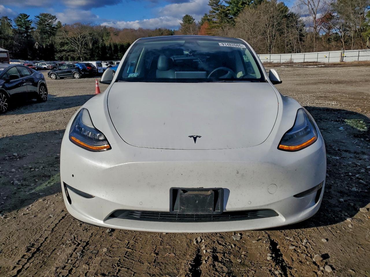 2022 Tesla Model Y - Фото 5