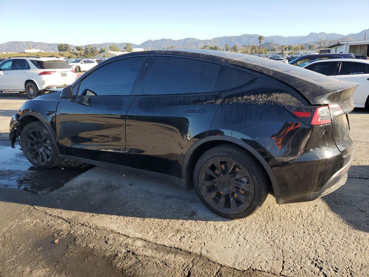 2021 Tesla Model Y - Фото 2