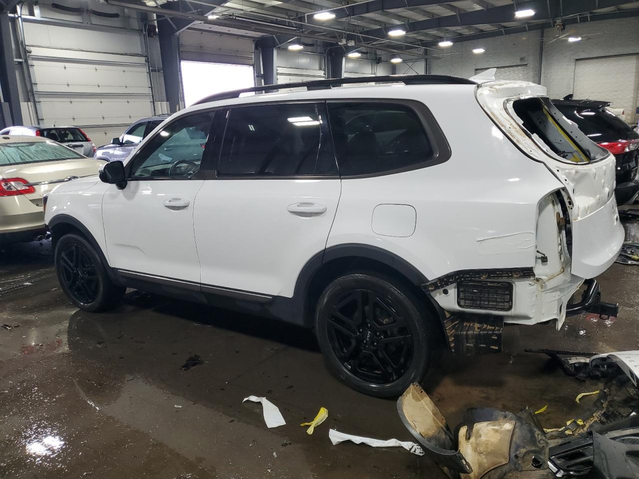 2023 Kia Telluride Sx - Image 2