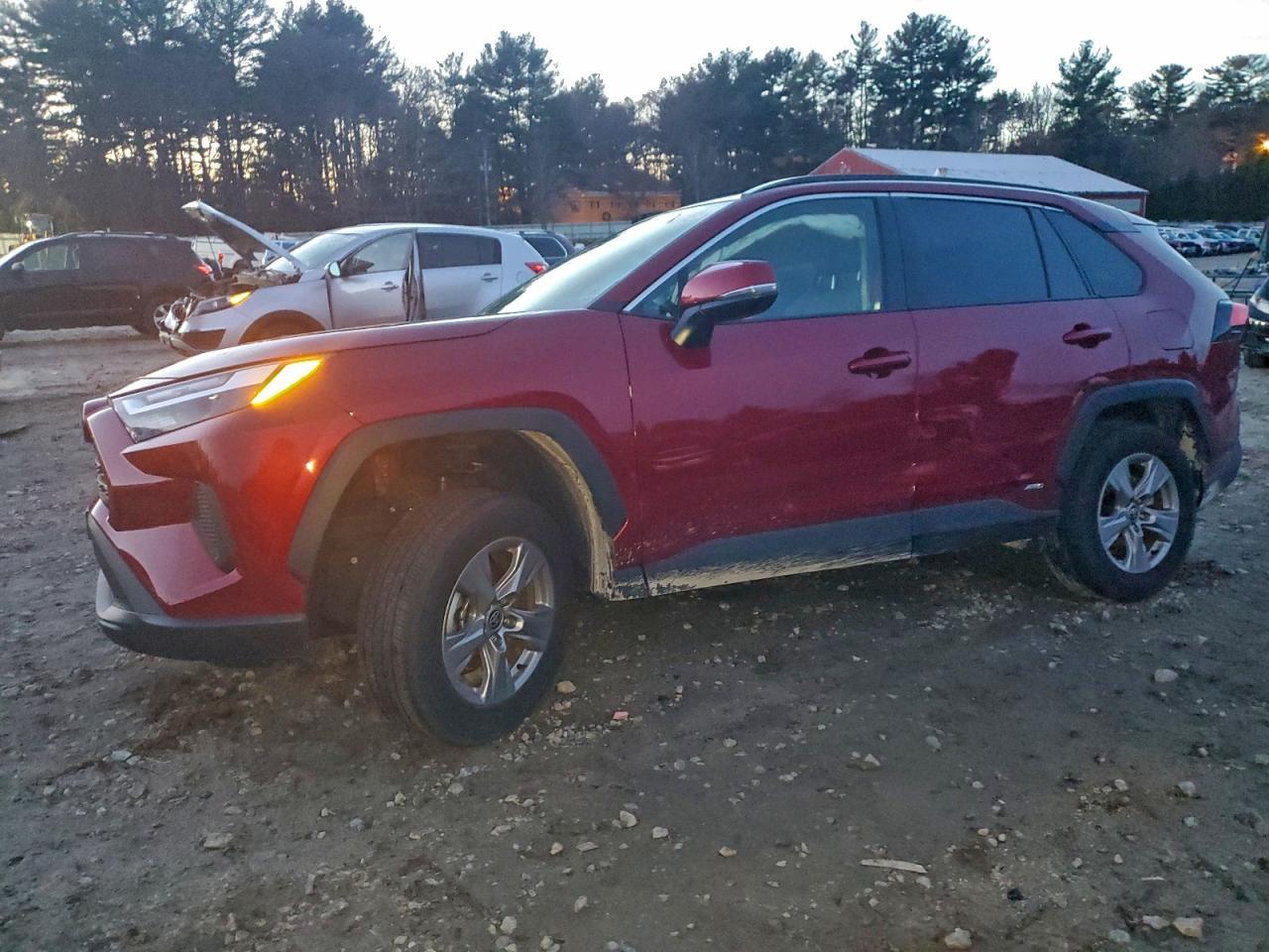 2025 Toyota Rav4 Xle