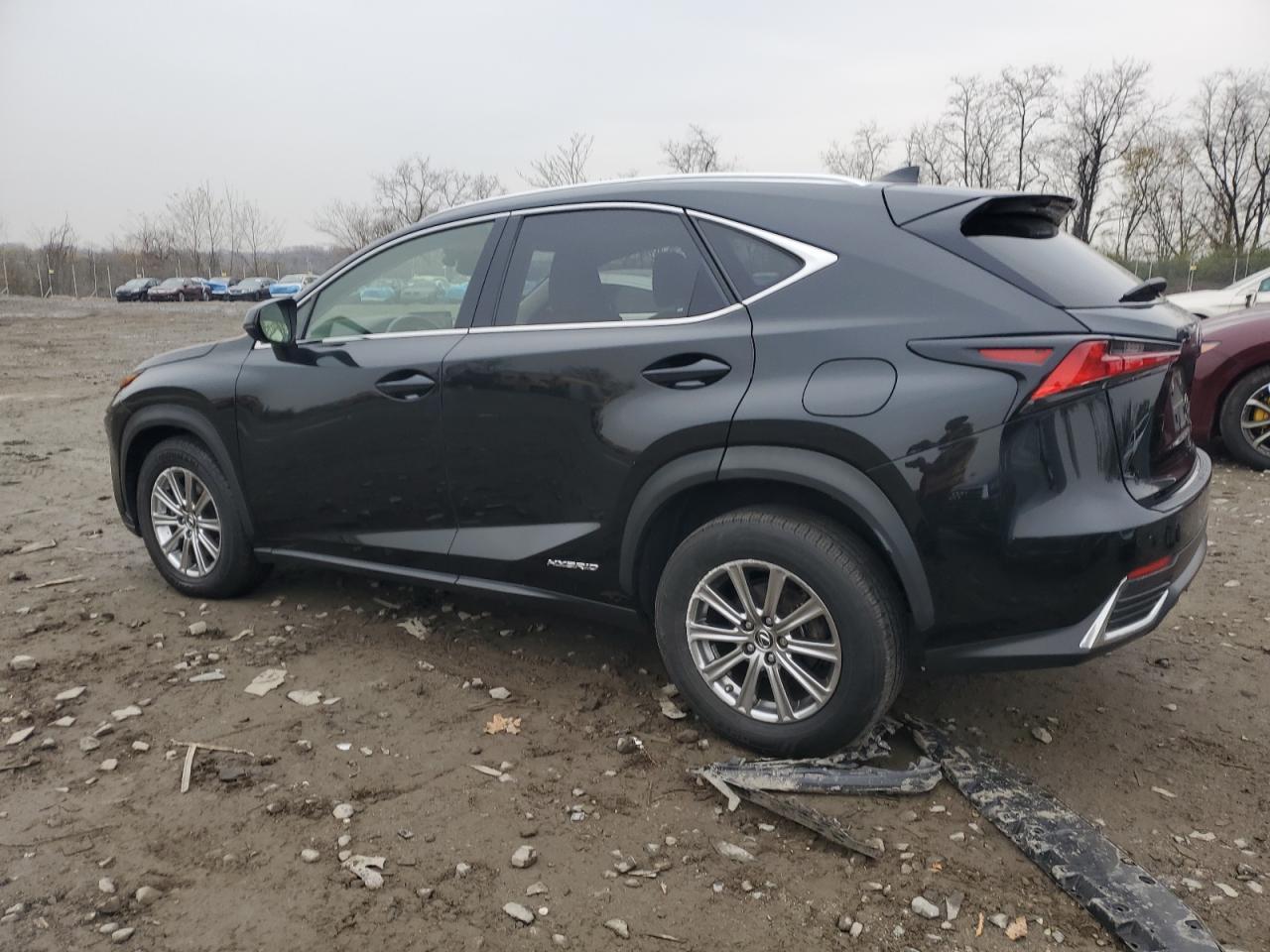 2019 Lexus Nx 300H - Image 2
