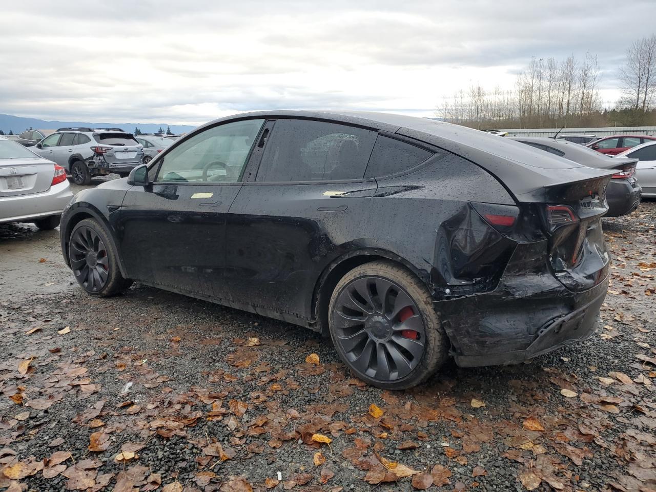 2023 Tesla Model Y - Image 2