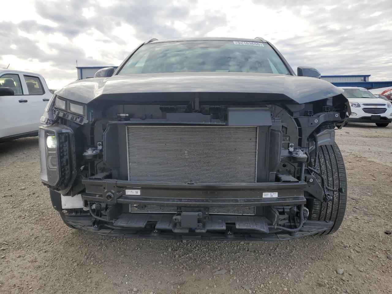 2025 Hyundai Palisade Sel Premium - Фото 5