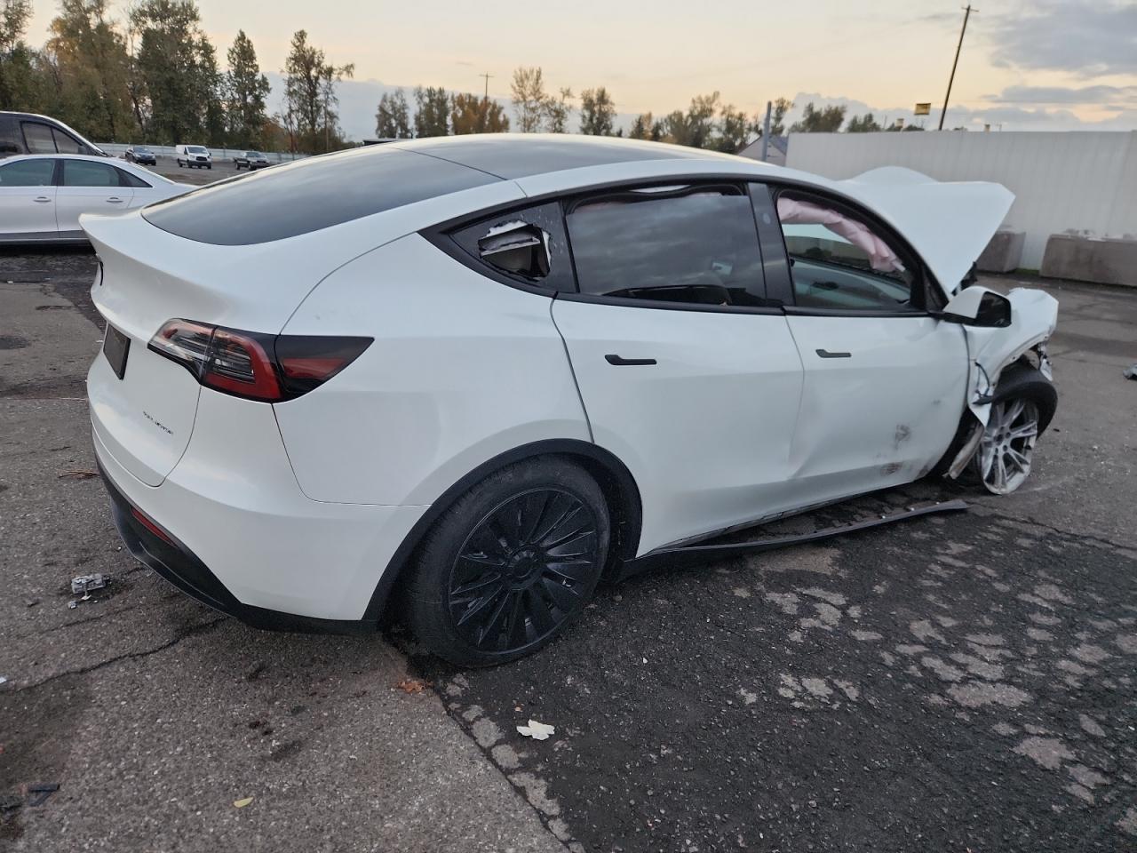 2023 Tesla Model Y - Фото 3