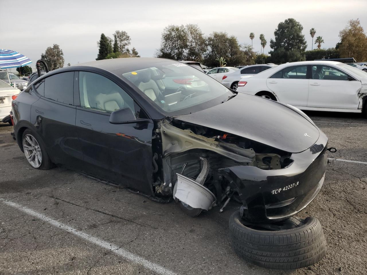 2023 Tesla Model Y - Фото 4