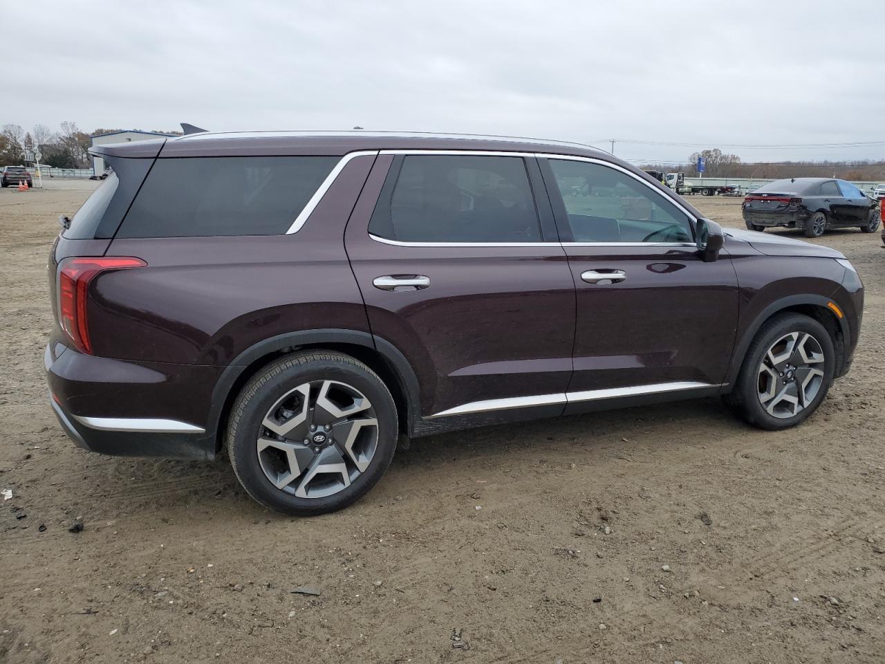 2024 Hyundai Palisade Limited - Image 3