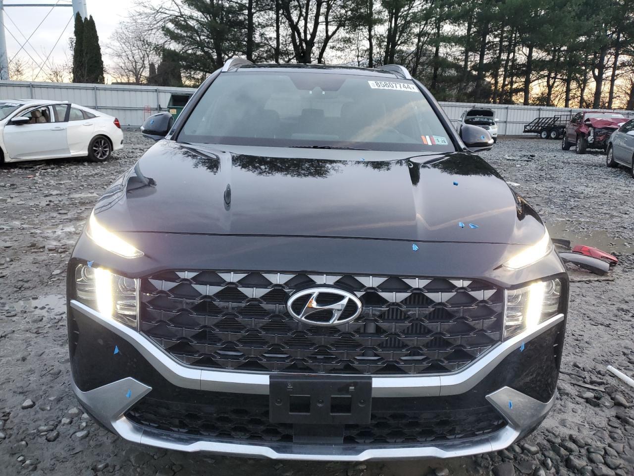 2023 Hyundai Santa Fe Calligraphy - Фото 5