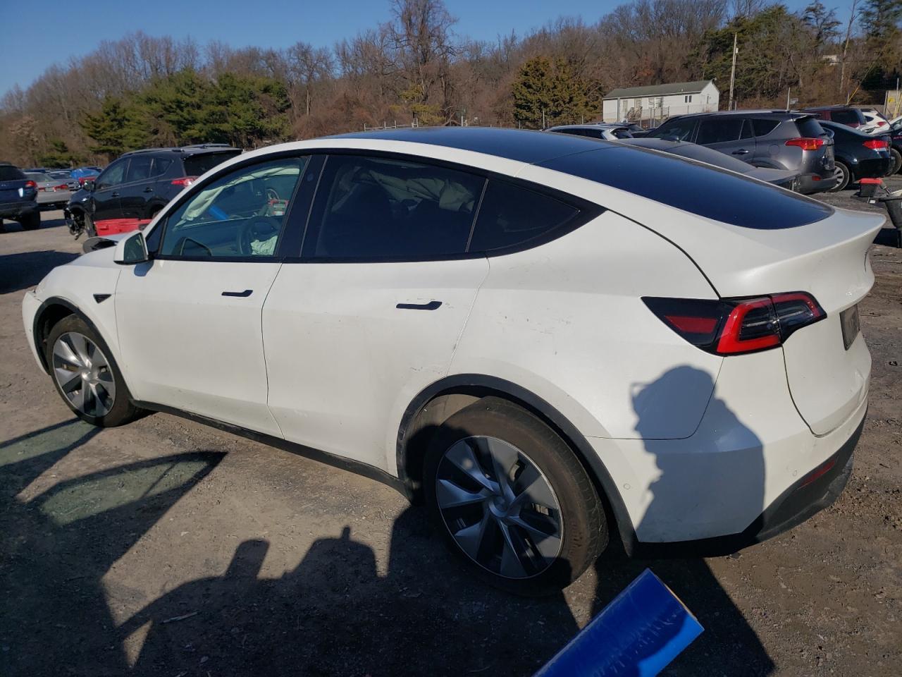 2021 Tesla Model Y - Фото 2