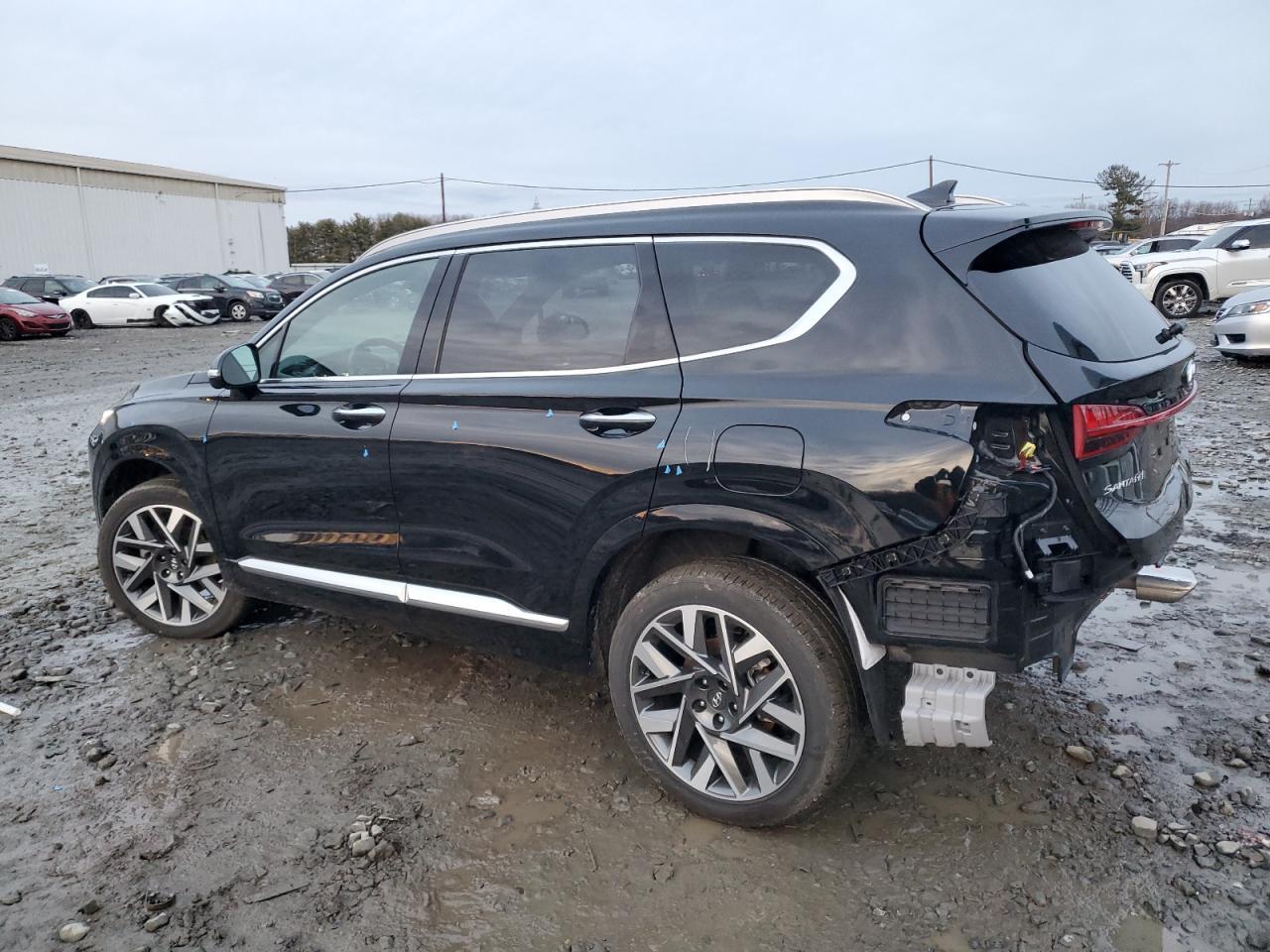 2023 Hyundai Santa Fe Calligraphy - Фото 2