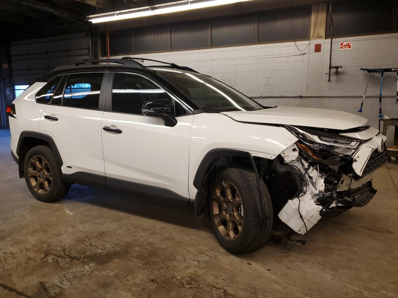 2024 Toyota Rav4 Woodland Edition - Фото 4