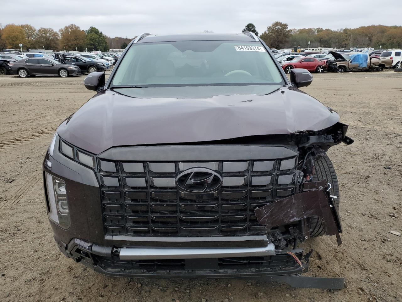 2024 Hyundai Palisade Limited - Image 5