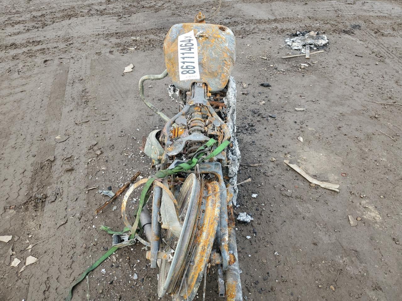 2024 Harley-Davidson Flhcs - Фото 6