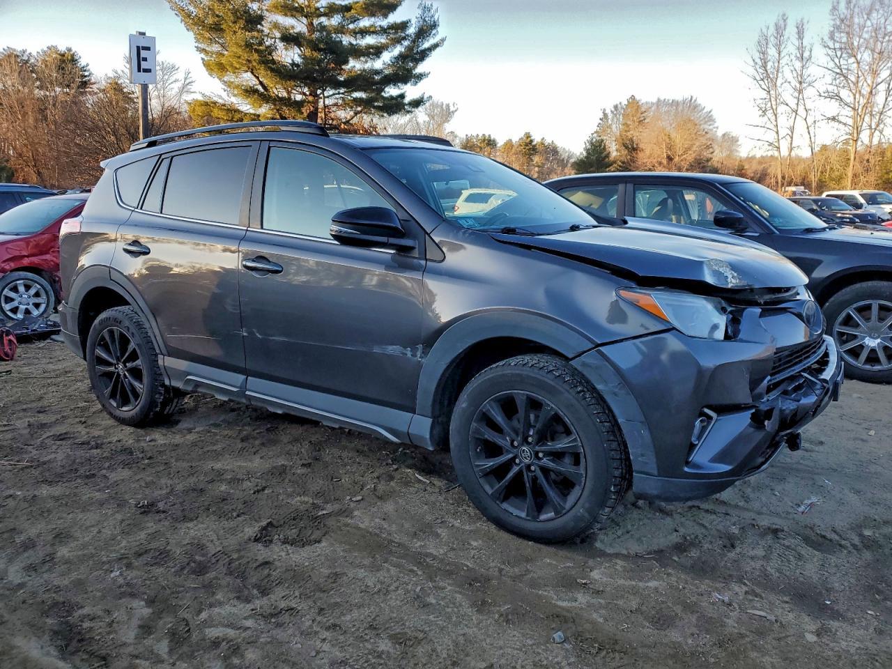 2018 Toyota Rav4 Adventure - Фото 4