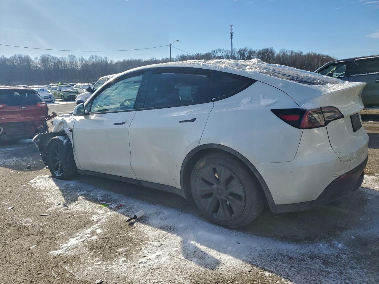 2024 Tesla Model Y - Фото 2