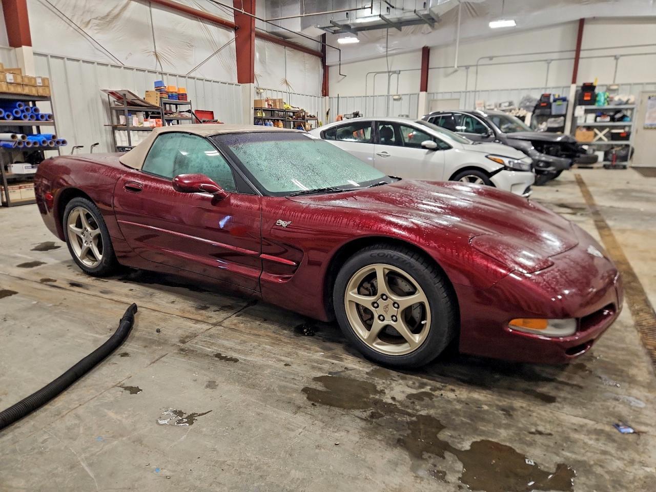 2003 Chevrolet Corvette - Фото 4
