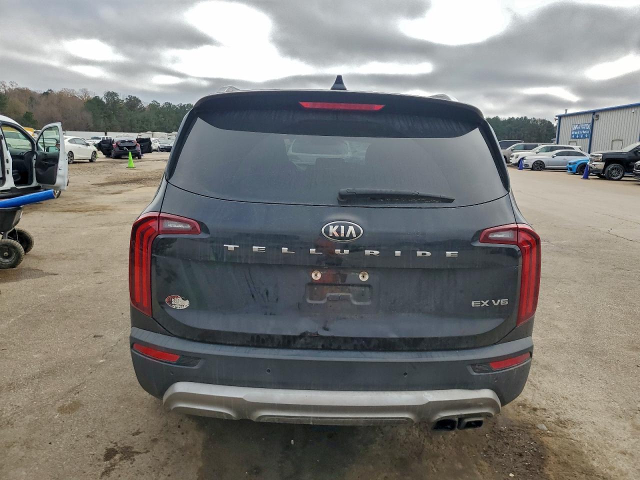2020 Kia Telluride Ex - Фото 6