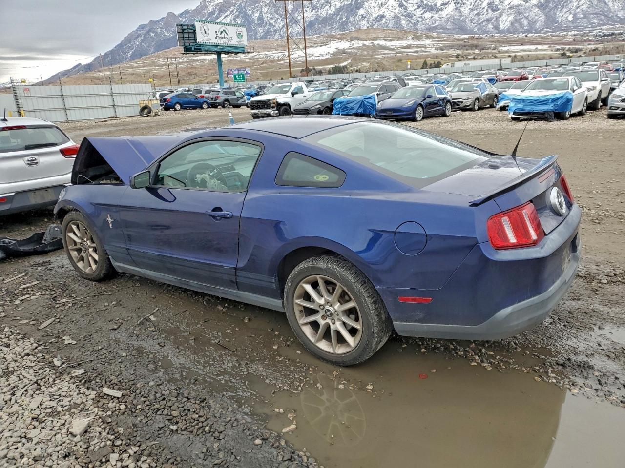 2010 Ford Mustang - Фото 2