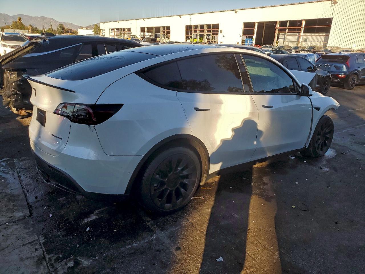 2020 Tesla Model Y - Фото 5