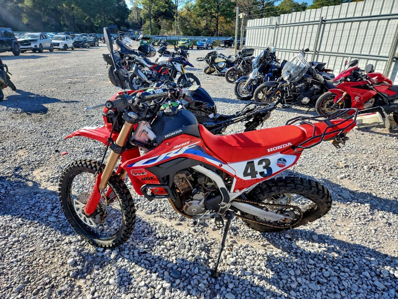2023 Honda Crf300 L - Фото 3