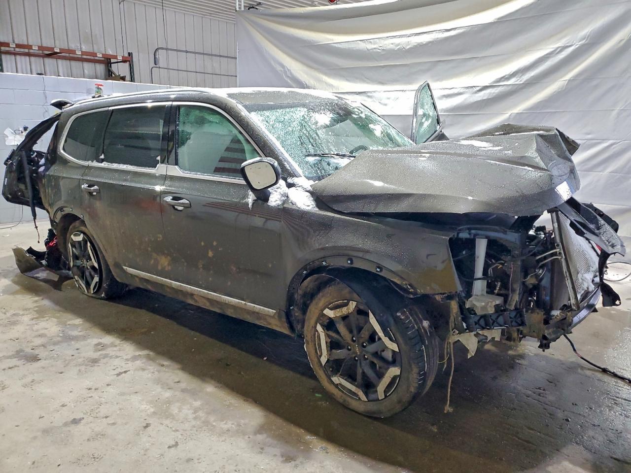 2025 Kia Telluride Ex - Фото 4