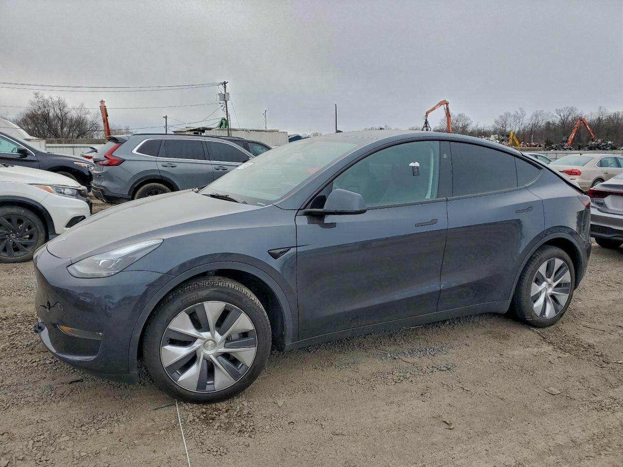 2024 Tesla Model Y