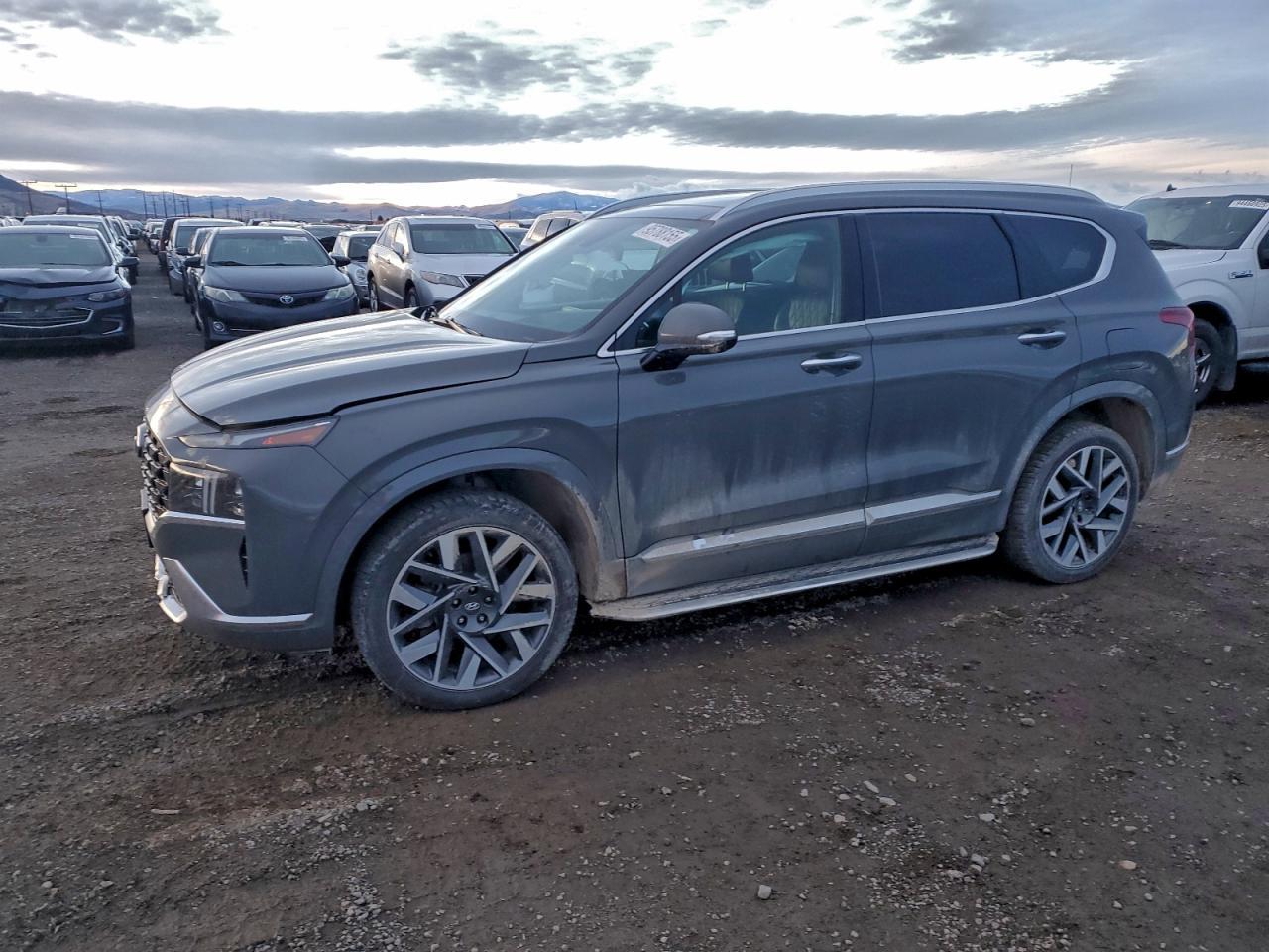 2022 Hyundai Santa Fe Calligraphy