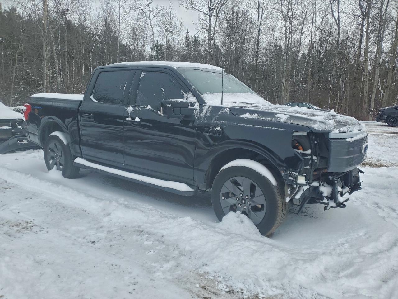 2022 Ford F150 Lightning Pro - Фото 4