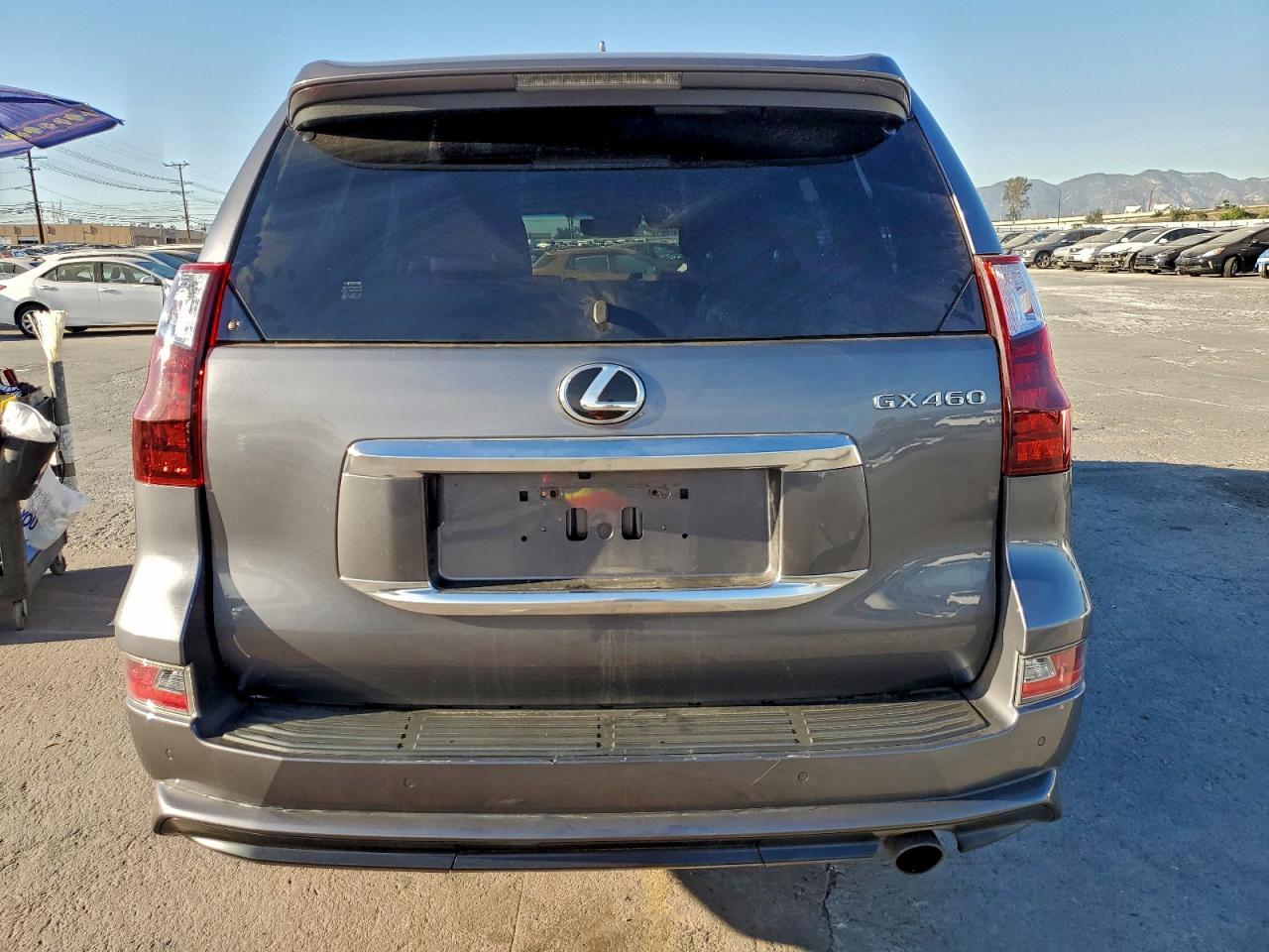 2021 Lexus Gx 460 Premium - Фото 6