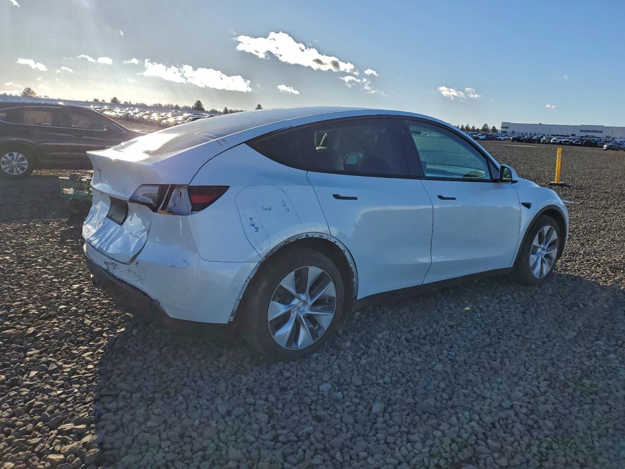 2021 Tesla Model Y - Фото 3