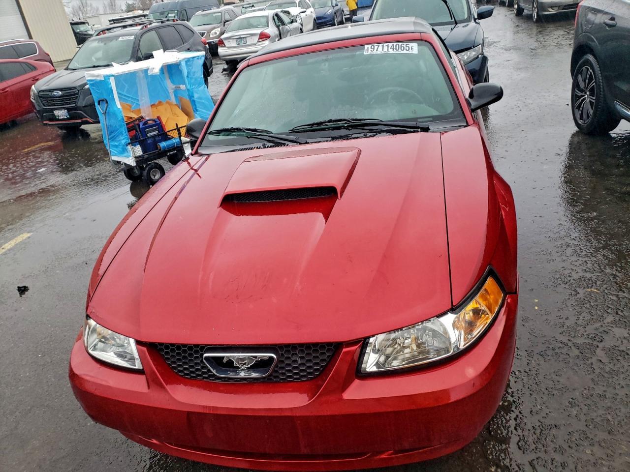 2004 Ford Mustang - Фото 5