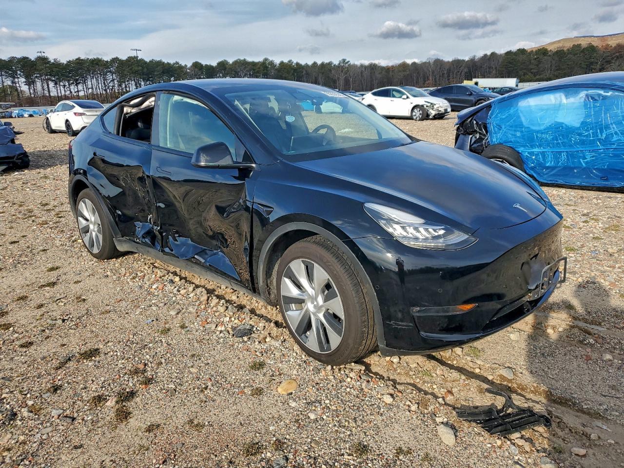 2021 Tesla Model Y - Фото 4