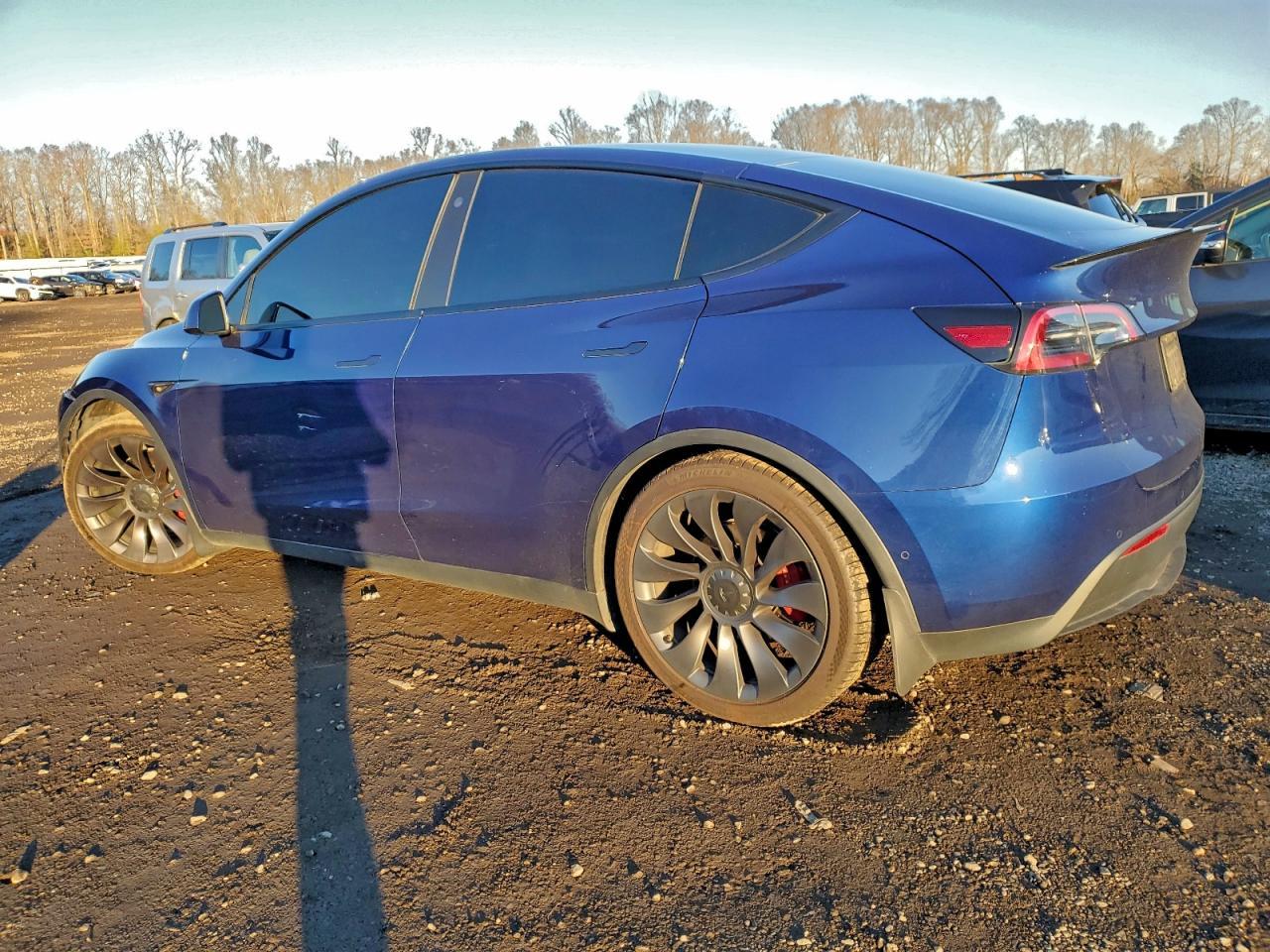 2021 Tesla Model Y - Фото 2