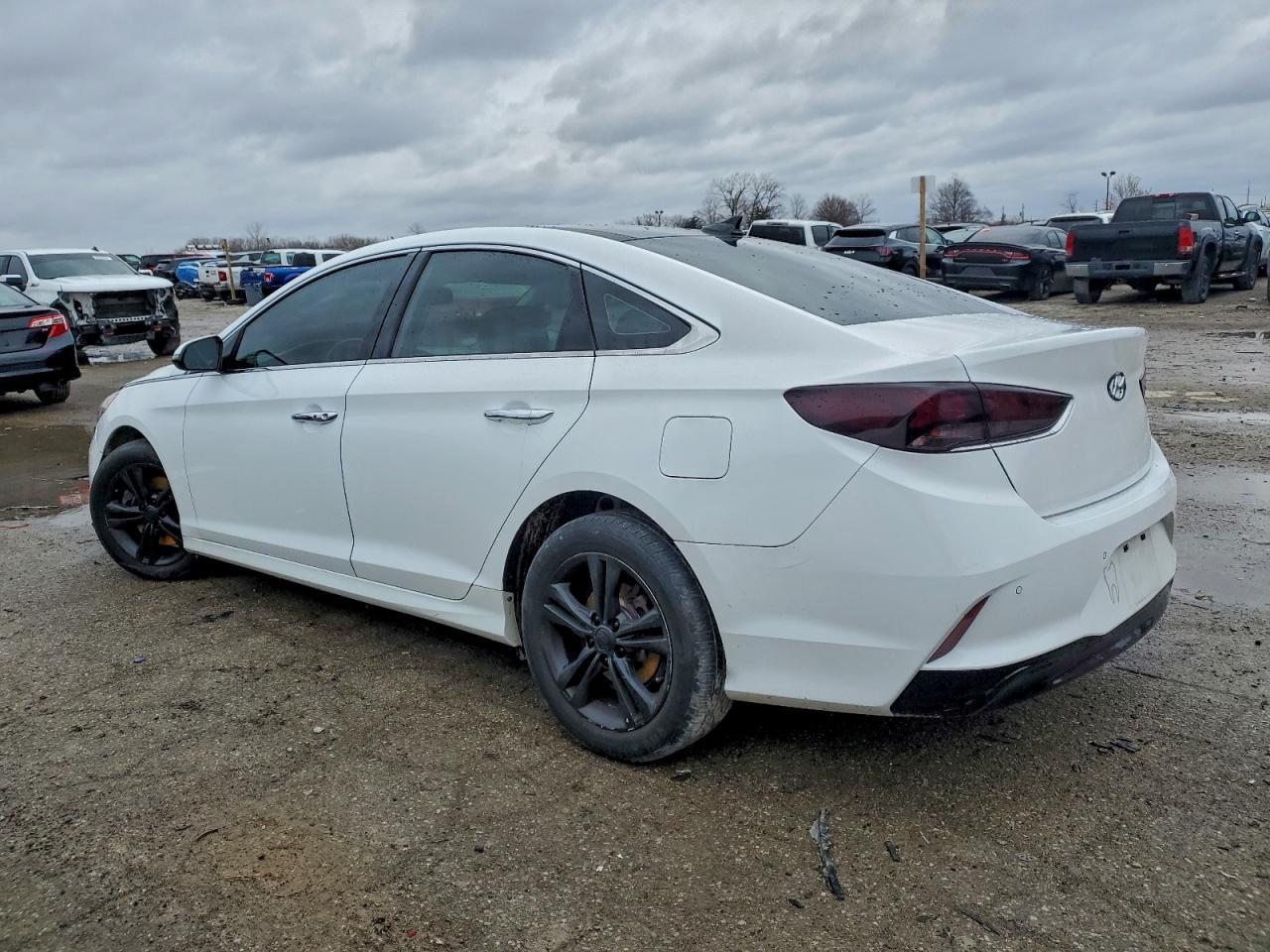 2019 Hyundai Sonata Limited - Фото 2